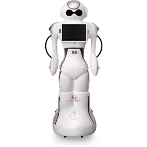 DEAN Service Robot