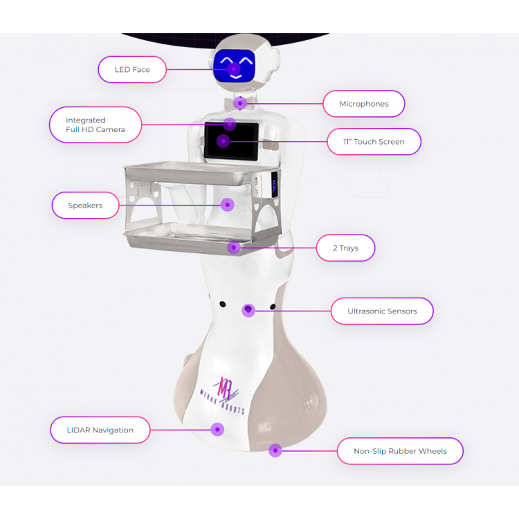 LEA Restaurant Robot