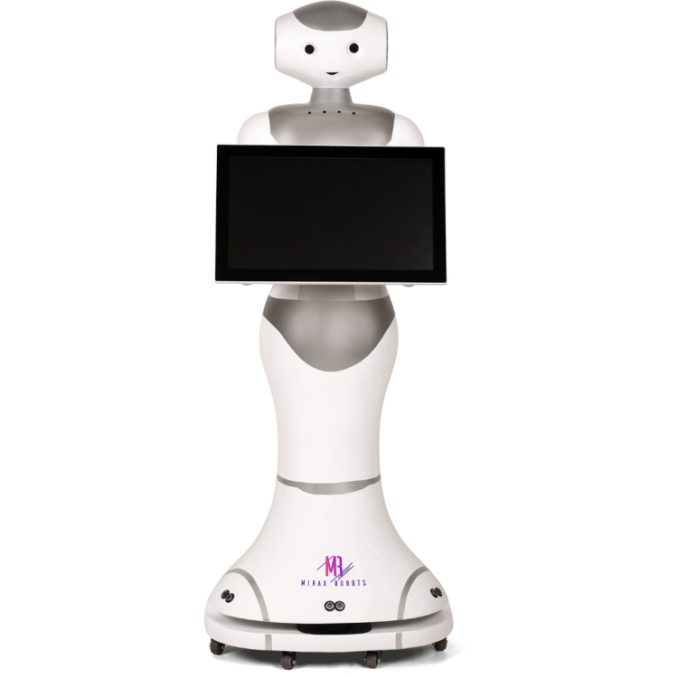 LEX Service Robot