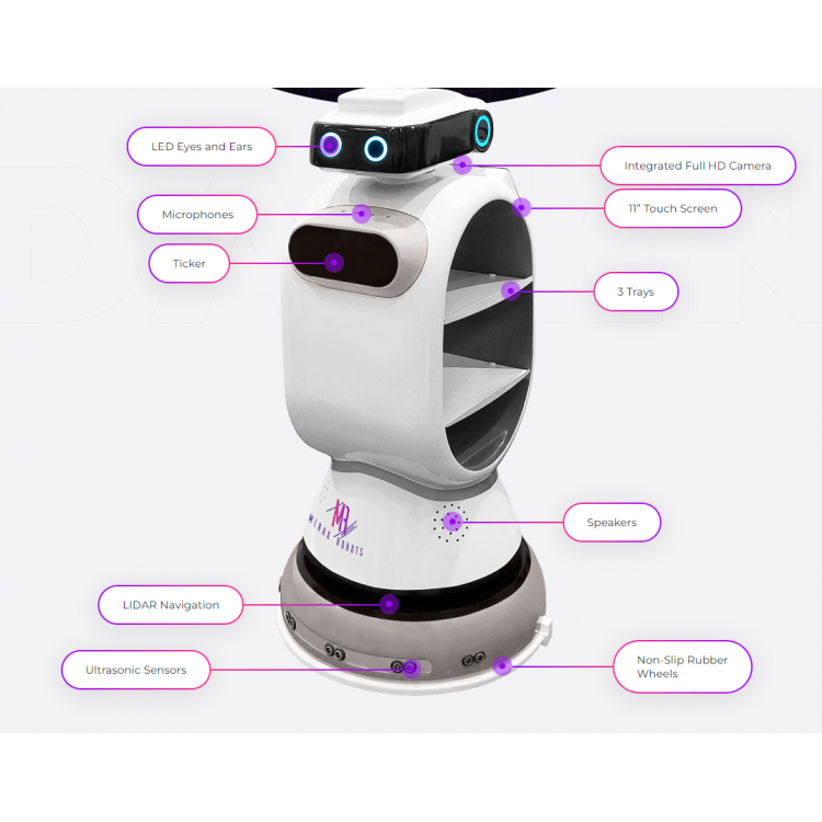 DABEN Restaurant Robot