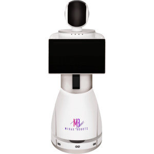 KAI Service Robot