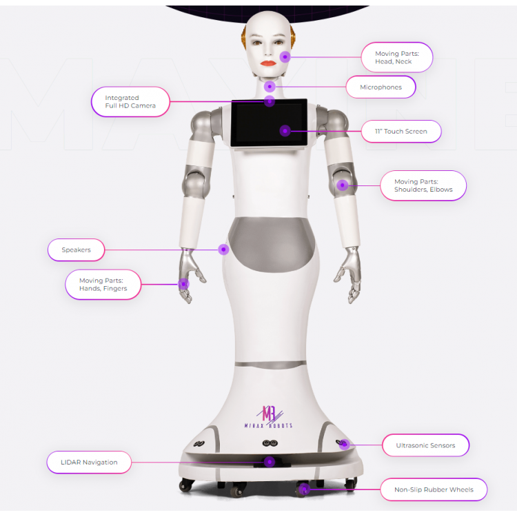 MAXINE Service Robot