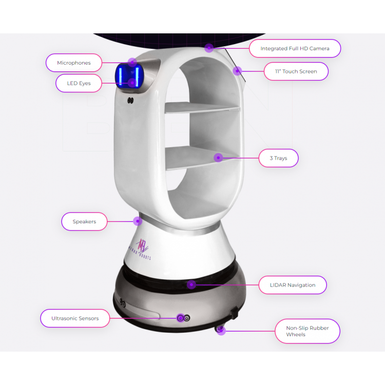 BEN Restaurant Robot