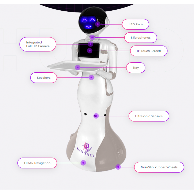 HUGO Restaurant Robot
