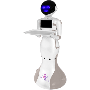 HUGO Restaurant Robot