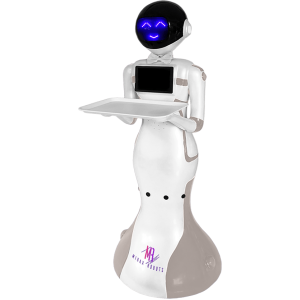 HUGO Restaurant Robot