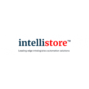 Intellistore, Inc.