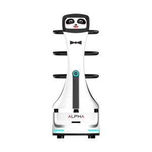Panda Delivery Robot for Restaurant Operations