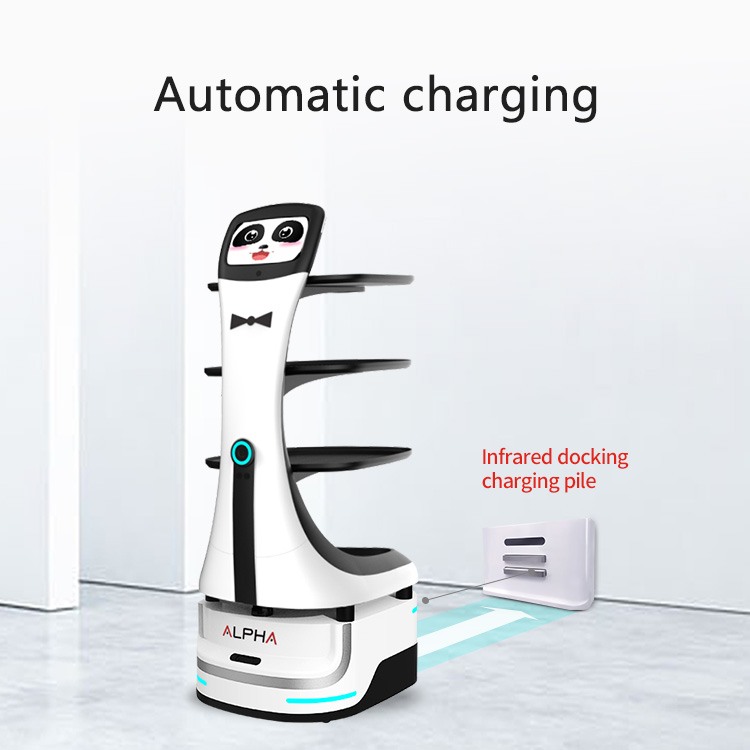 Panda Delivery Robot for Restaurant Operations