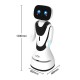 Timo reception robot, programmable tour guide robot