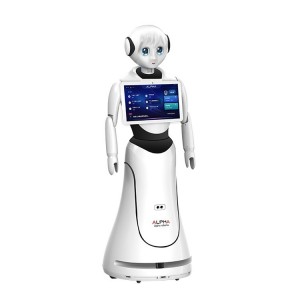 Alice Humanoid Reception Robot, Programmable Hot Selling Service Robot