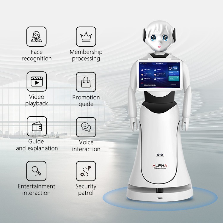 Alice Humanoid Reception Robot, Programmable Hot Selling Service Robot