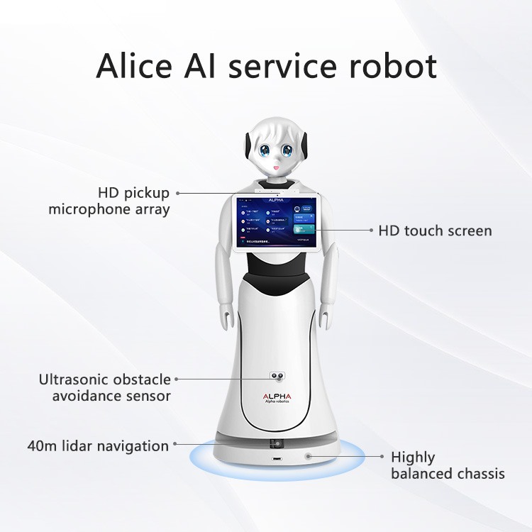 Alice Humanoid Reception Robot, Programmable Hot Selling Service Robot