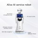 Alice Humanoid Reception Robot, Programmable Hot Selling Service Robot Alice Humanoid Reception Robot, Programmable Hot Selling Service Robot