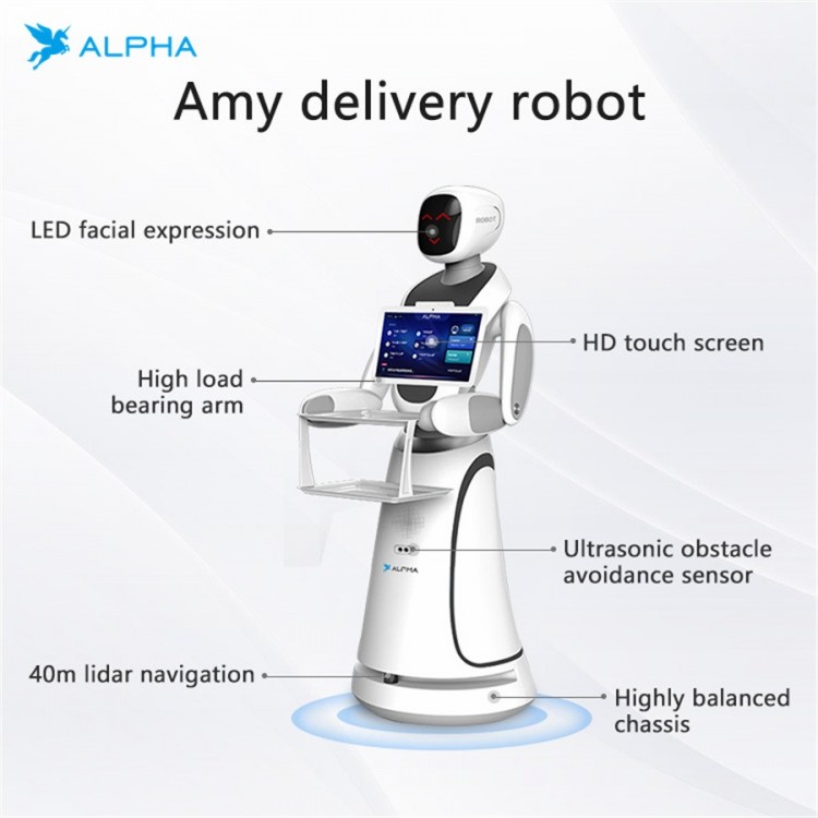 Alpha Robotics Amy Humanoid Robot