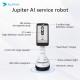 Alpha Jupiter Digital Human Guide AI Commercial Robot