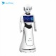Alpha Robotics, Alice Programmable Humanoid Welcome Robot