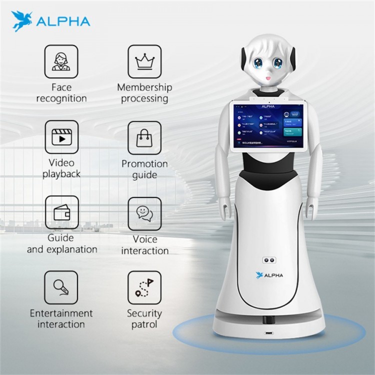 Alpha Robotics, Alice Programmable Humanoid Welcome Robot