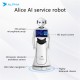 Alpha Robotics, Alice Programmable Humanoid Welcome Robot