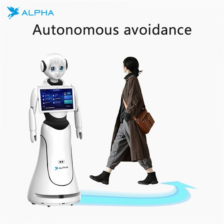 Alpha Robotics, Alice Programmable Humanoid Welcome Robot