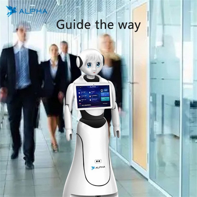 Alpha Robotics, Alice Programmable Humanoid Welcome Robot