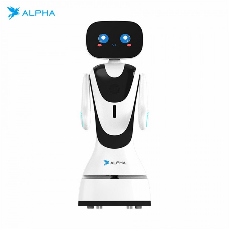 Alpha Arm Movable Timo Smart Robot
