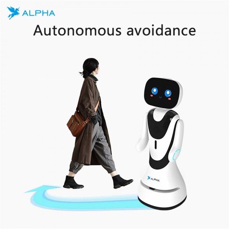 Alpha Arm Movable Timo Smart Robot