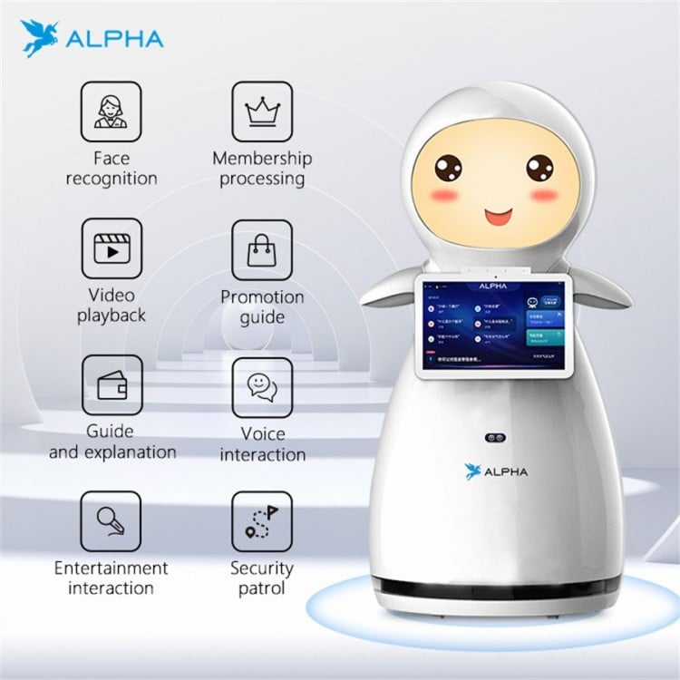 Alpha Snow Service Robot for School Welcome & Reception