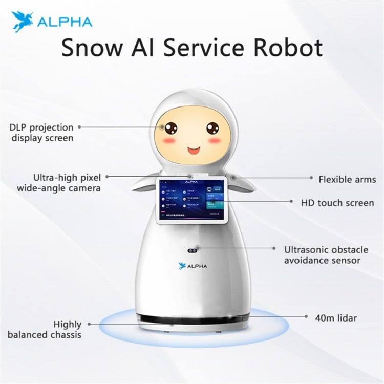 Alpha Snow Service Robot for School Welcome & Reception