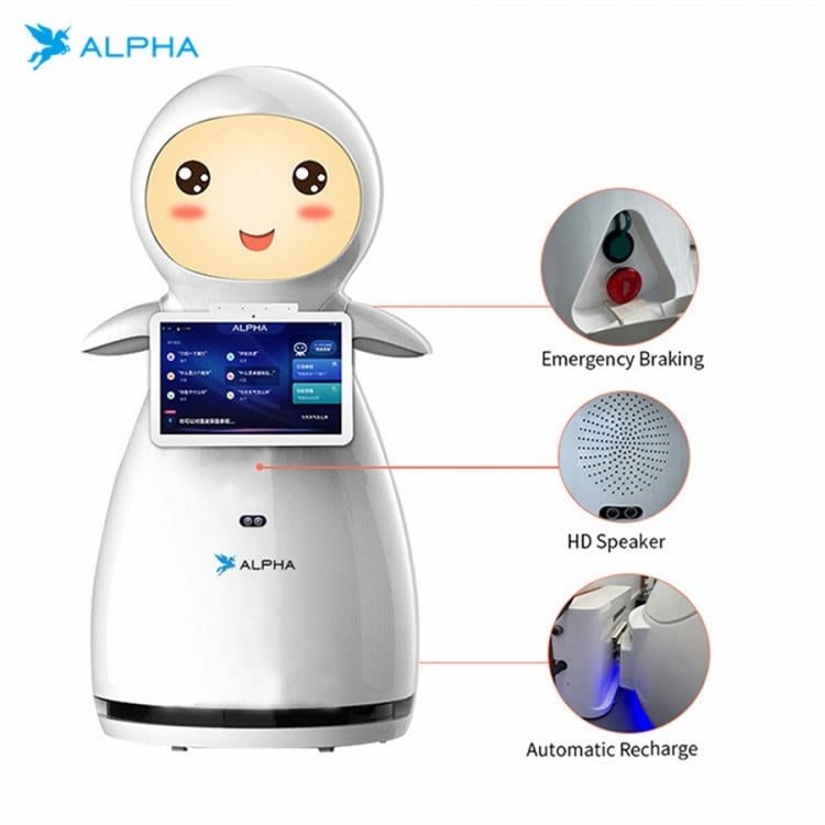 Alpha Snow Service Robot for School Welcome & Reception