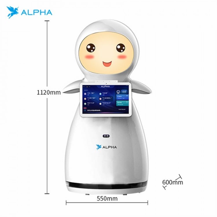 Alpha Snow Service Robot for School Welcome & Reception