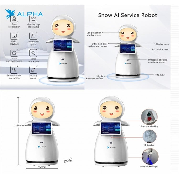 Alpha Snow Service Robot for School Welcome & Reception