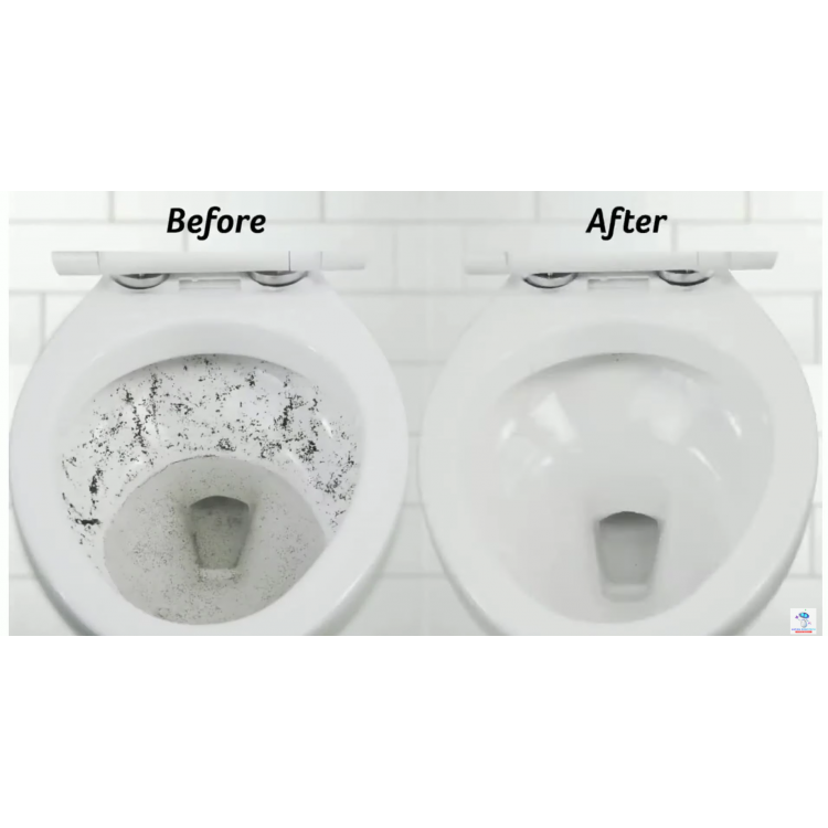 Giddel Toilet Cleaning Robot